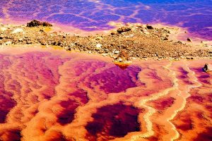 « Les êtres humains et la Nature ne font qu’un »